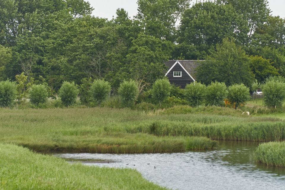 Boerderij bij Oosterschelde