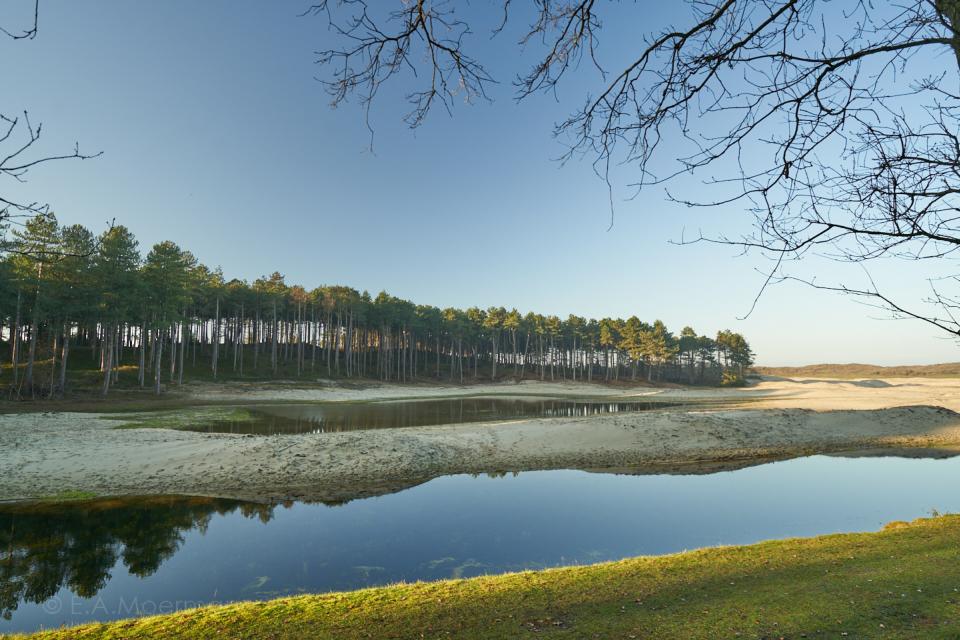 Meertje in Oranjezon