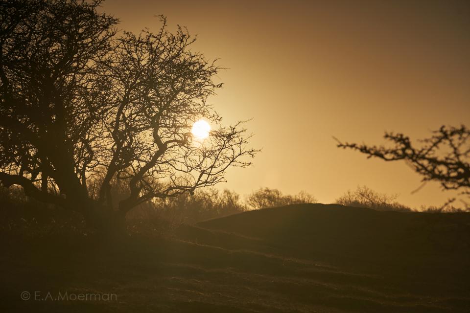 Zonsopgang Oranjezon