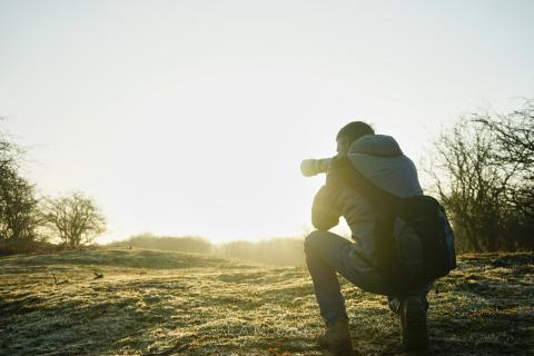 herten fotograferen